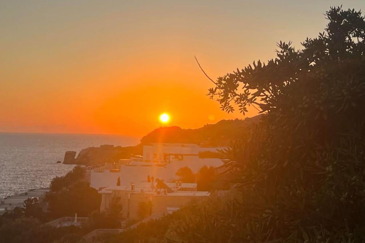 Villa Palma - Sunset Sea Views With Pool, Jacuzzi, Sauna And Games Room 梅利哈 外观 照片
